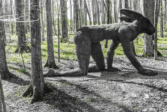 Art Sculpture of Giant Rabbit in wooded area. 
