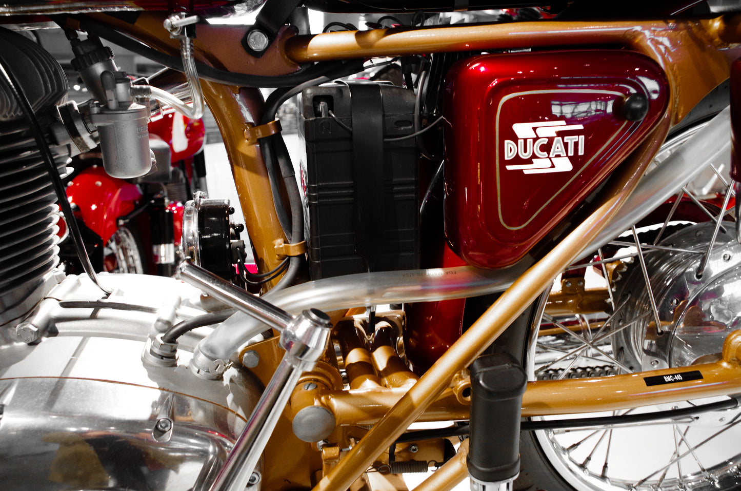 Ducati Motorcycle Photography Wall Art